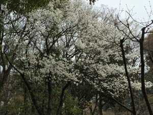 IMG_3040