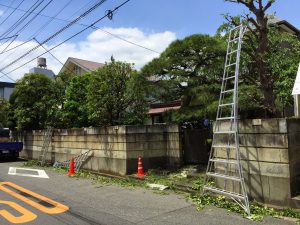 庭木剪定作業