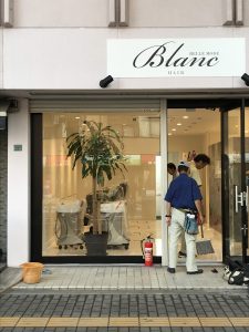 ドラセナ納品