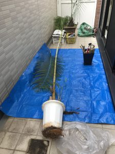 バルコニーでの作業